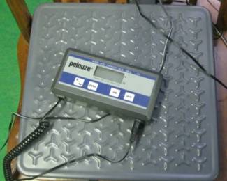 PELOUZE SCALES