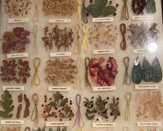 large Native American dye samples