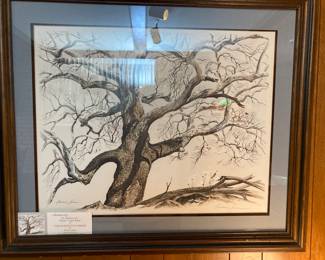 The White Sycamore print by Frederic James