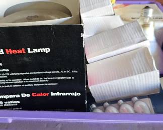 Light bulbs different shapes and sizes