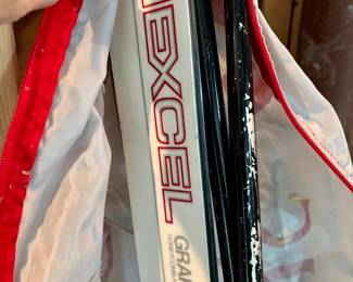 Down hill Hexcel skis with bindings, poles and bag