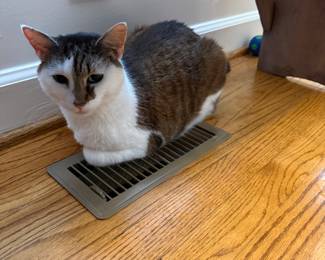 I am letting him use my image but I am not going to work and move all that heavy stuff around. 