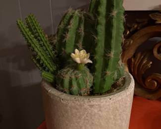 318Jan 14 2026 04 33pmjY9K