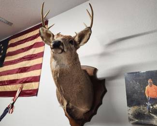 Deer Mount