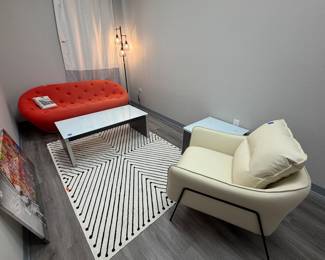 Items are individually priced. Reasonable offers welcome.   All items brand new! White leather accent chair - $100, Rug - $15, Couch - $300, Coffee table - $60, Side table - $30, Lamp - $75, Curtain Panel - $5