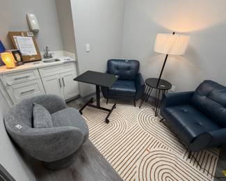 Items are individually priced. Reasonable offers welcome. Blue leather accent chairs - $85, Grey Chair - $85, Rug - $20, Rolling Table - $40, 3D printed accent lamp - $12, Glass frame - $7, Basketball hoop for office (in box) $10