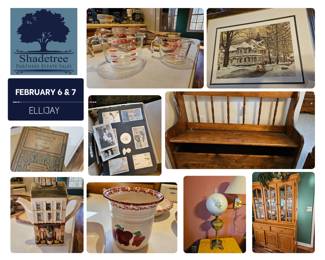 Copy of ellijay carson cove