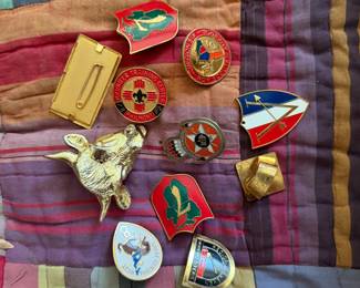 Boy Scout Pins
