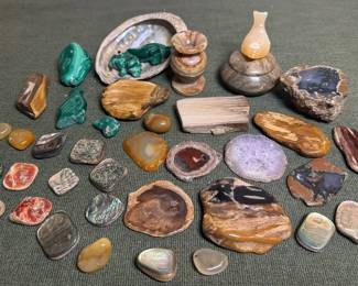 Rock Shell Specimens