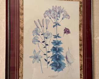 Framed Botanical Print