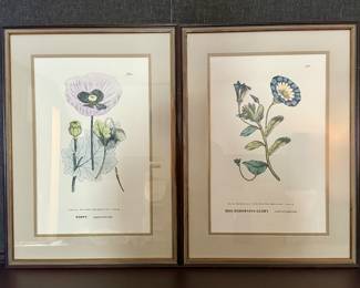 Framed Botanicals