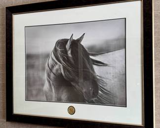 International Art Portfolio Earthwatch Institute Photograph