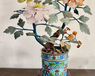 Chinese Jade Bonsai Tree 