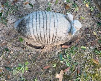 #85 - $16 -  Concrete armadillo
