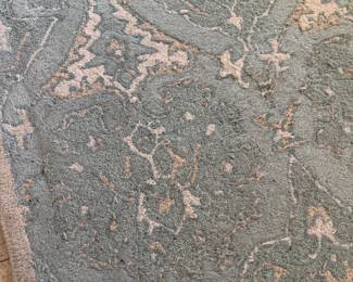 #55 - $60 - Ballard design rug 5x8 - need steam clean