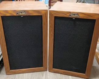 Pair of Wooden Speaker Cabinets