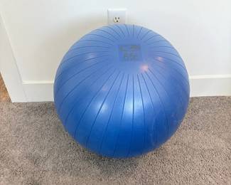 CP Champion Core Fitness Ball 65cm