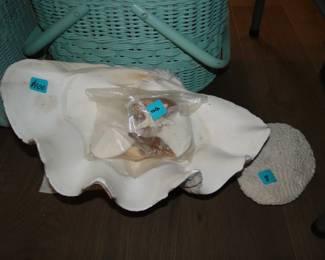 Large Oyster Shell