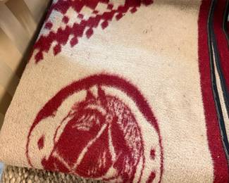 Horse head blanket Camp