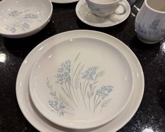 Vintage Carefree "Bluegrass" 5 Piece Place Setting. 7 Sets. Syracuse