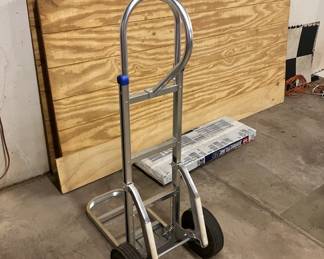 Quality Dolly & T111 in basement