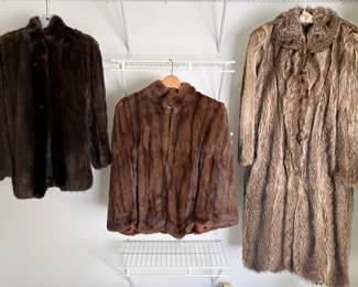 Quality well-kept furs (Richard Donald, Joseph the Furrier)