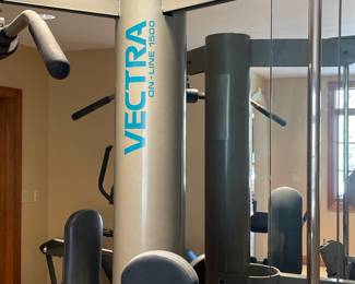 Vectra On-Line 1500 Home Gym Strength System - $975.00 (Located in lower level with walkout)