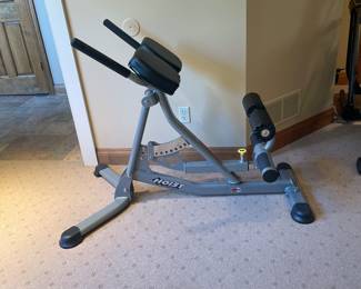 Hoist Ab/Back Hyper Roman Chair - $97.00