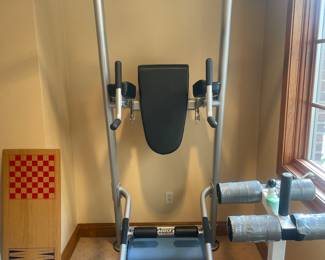 Hoist Fitness Body-Solid Pro Club Line Vertical Knee Raise -$975.00