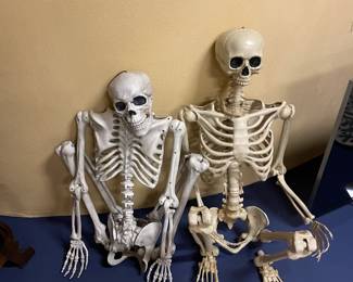Halloween Skeleton - Life Size Full Body and Upper Body