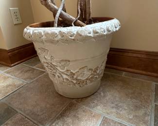 Dracaena Marginata (Madagascar Dragon Tree) with Ceramic Planter. - 66"T x 15"W - $58.00