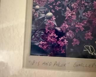 Iris and Phlox "Gallery Gardens" Print by Charles Peterson