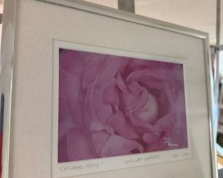 Framed Floral Photograph by Pence