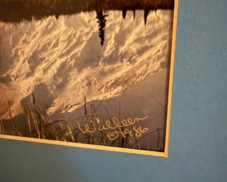Walleen Signed Landscape Photograph 1986