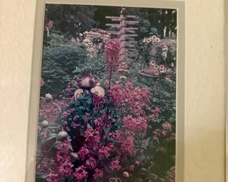 Iris and Phlox "Gallery Gardens" Print by Charles Peterson