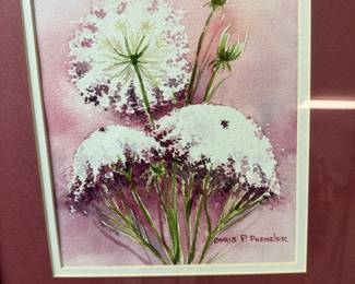 Watercolor Painting of Queen Anne's Lace by Doris P. Prenzler
