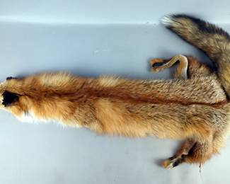 Full Red Fox Pelt, 45" Long 