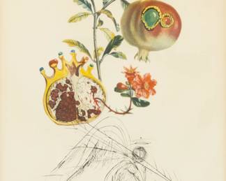 Lot 1016
Salvador Dali (Spanish, 1904-1989) Photolithograph with Engraving on BFK Rives Paper, 1969, 'Grenade Et L'Ange, from FlorDali/Les Fruits'