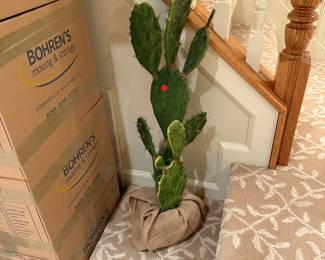 Faux Cactus