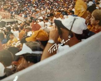 Rob Arra Panoramic Photograph of Neyland Stadium Crowd University of Tennessee Volunteers