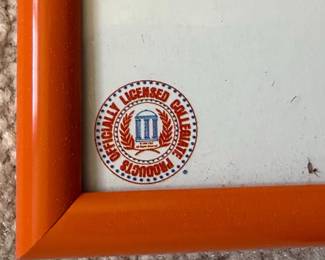 Rob Arra Panoramic Photograph of Neyland Stadium Crowd University of Tennessee Volunteers