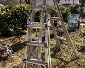 Many ladders
