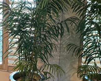 Large Chinese Porcelain Planter with Wooden Stand