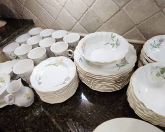 164. Villeroy & Boch Dinnerware Set for 12, Dinner Plates, Salad Plate, Bowls, Coffee Cups, Serving Platter, Serving Bowl, Cream and Sugar, Gravey Boat