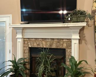 SONY TV AND SOUNDBAR, FLORALS