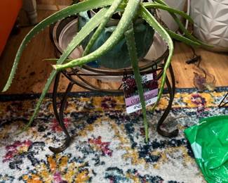 Aloe plant + stand