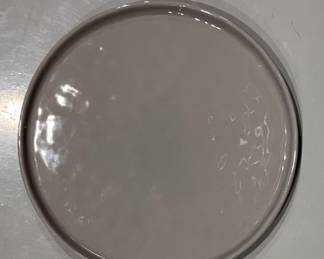 Set of 8 Crate & Barrel Dinner Plates. Photo 2 of 3. 