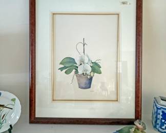 Framed Botanical Art