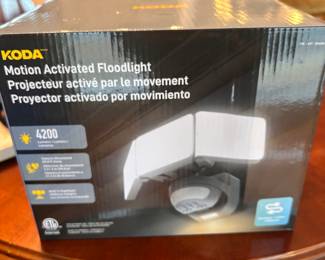 Koda motion floodlamp
