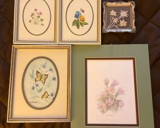 Five Botanical Butterfly Pictures